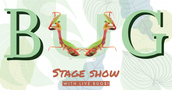 Image for event: BUG-Stage Show
